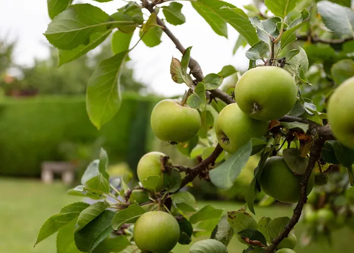 La Normande By Interhome *